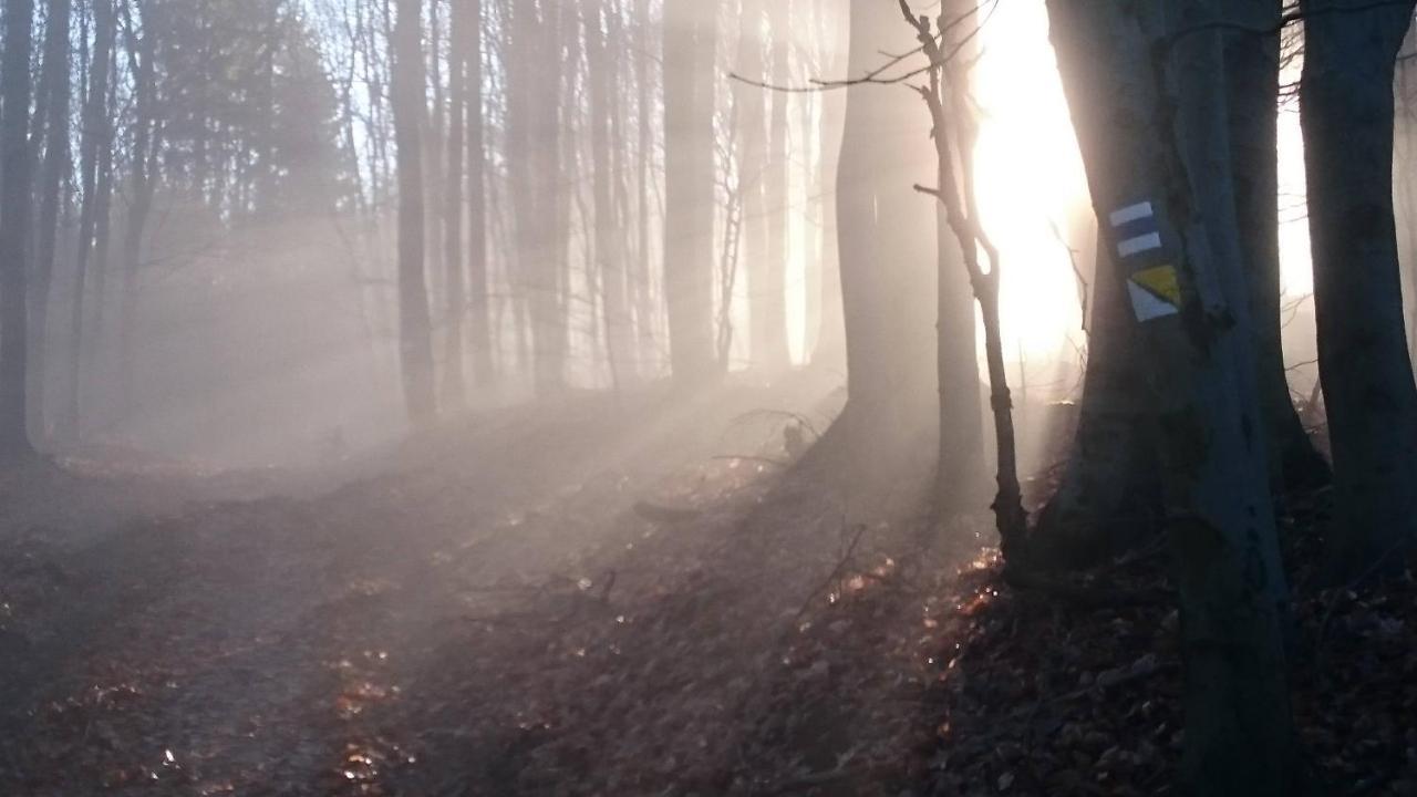 Nature Homestay Trenčín Exteriér fotografie