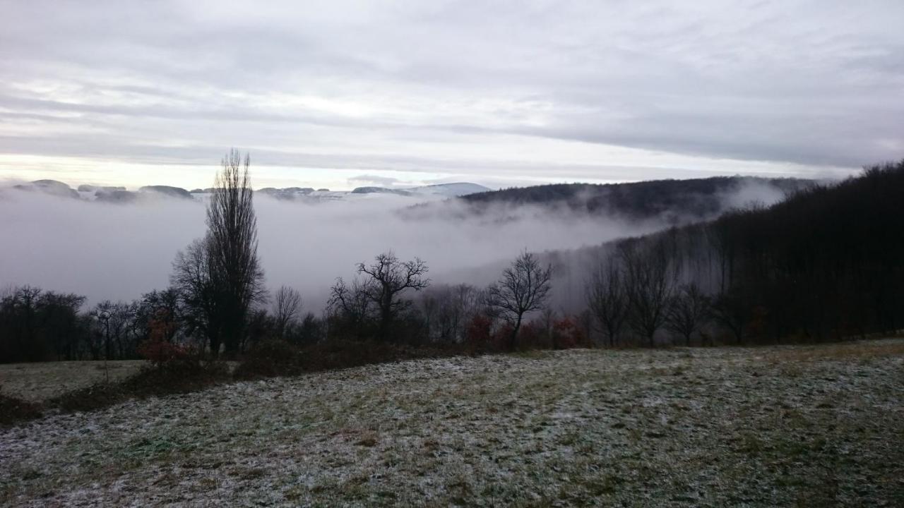 Nature Homestay Trenčín Exteriér fotografie