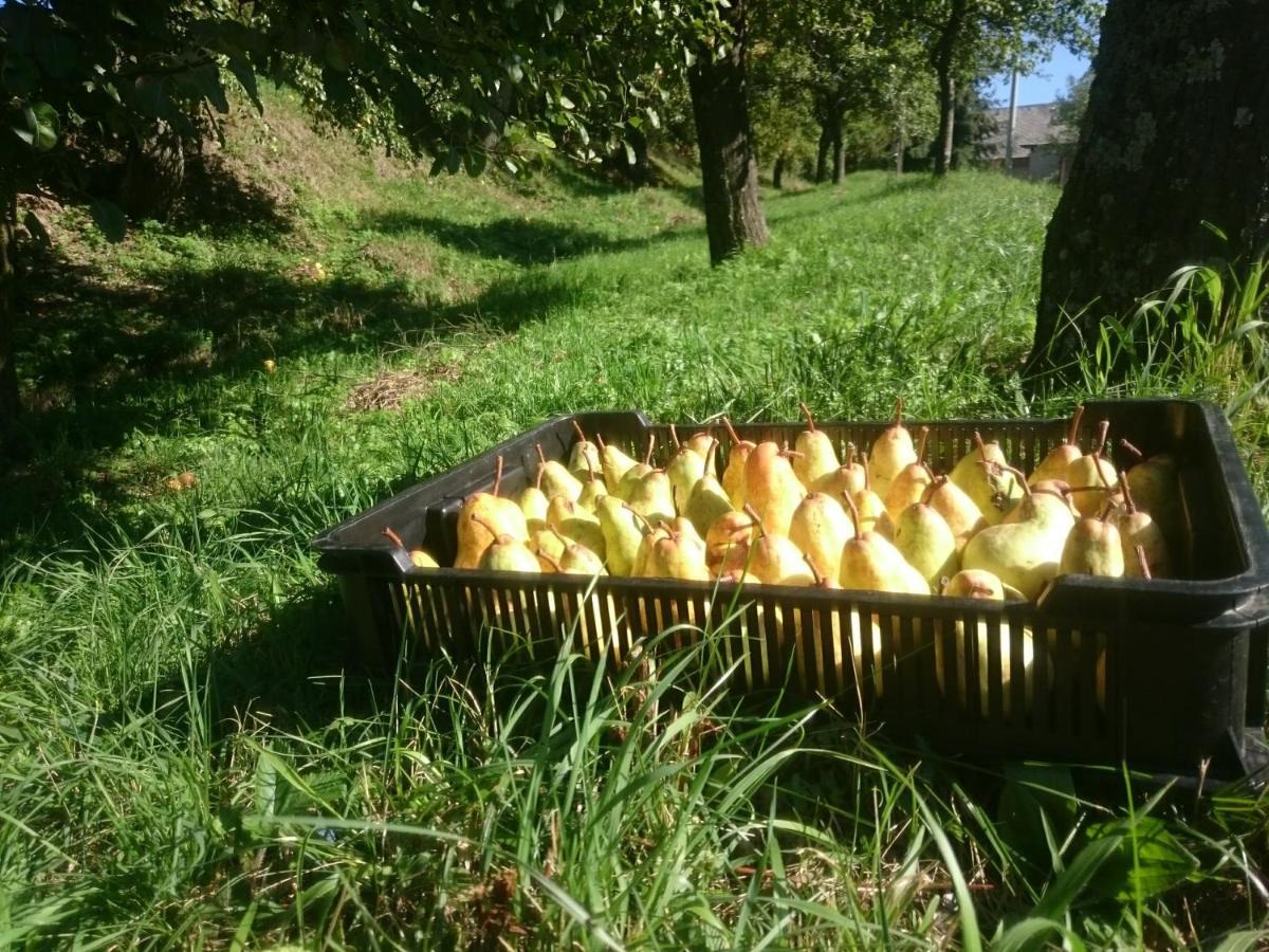 Nature Homestay Trenčín Exteriér fotografie