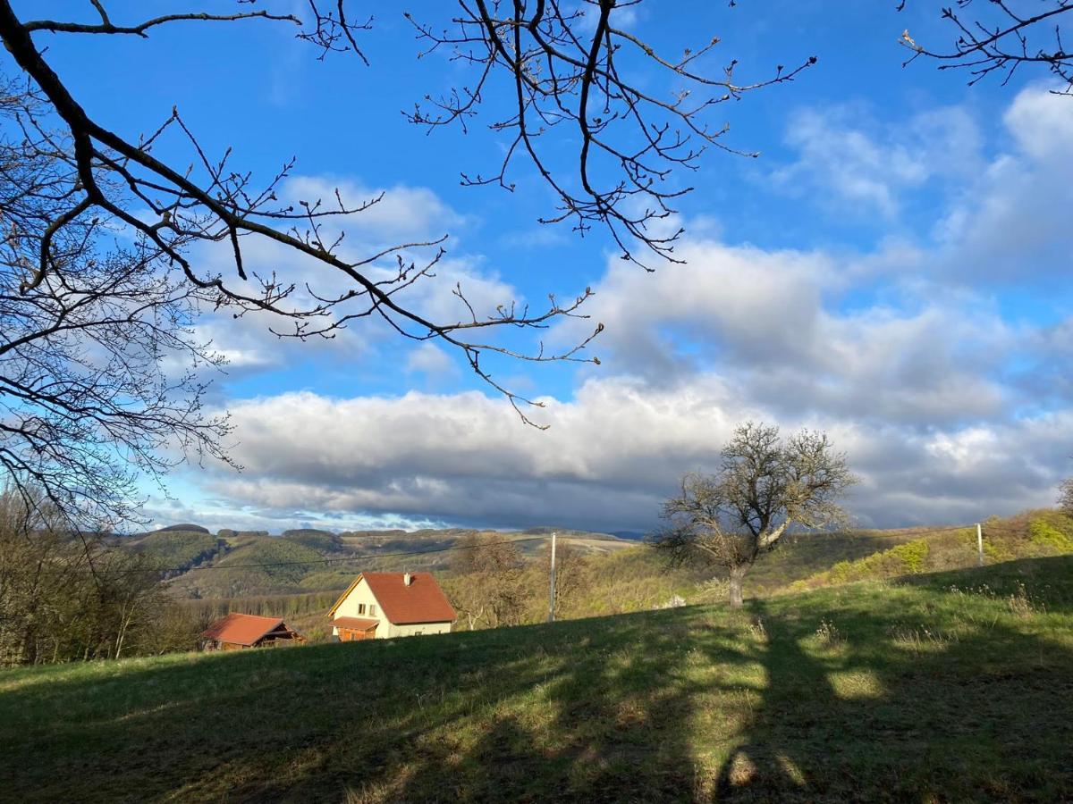 Nature Homestay Trenčín Exteriér fotografie