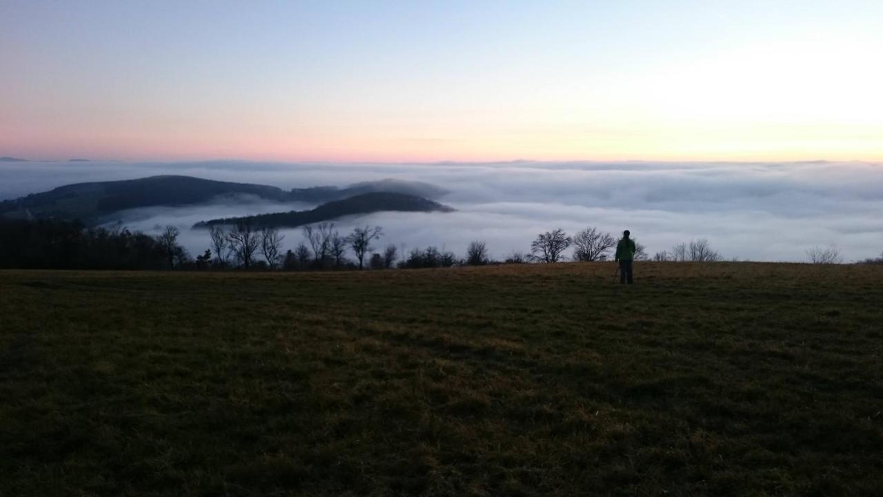 Nature Homestay Trenčín Exteriér fotografie
