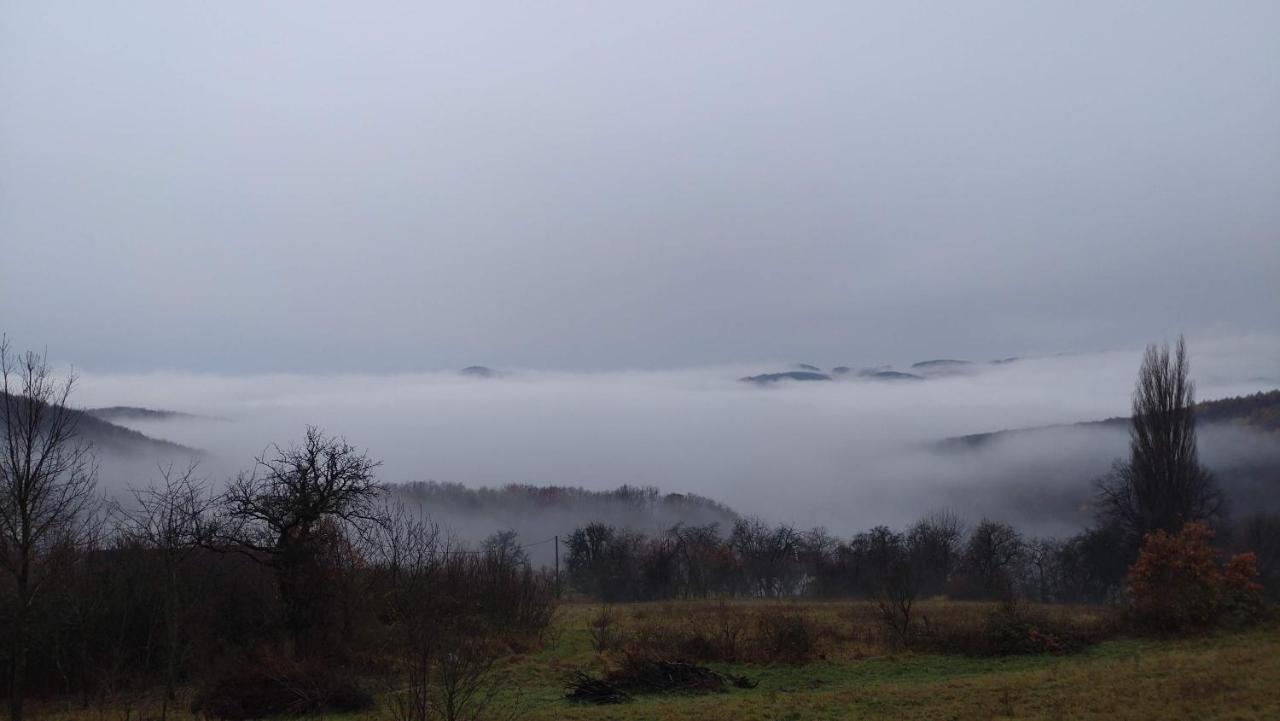 Nature Homestay Trenčín Exteriér fotografie